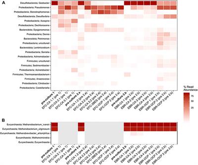 Toward Real-Time Determination of Yield Coefficients of Early-Stage Electroactive Biofilms by Optical Microscopy